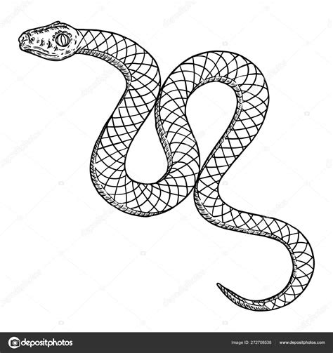 black and white snake drawing|black and white snake sketch.